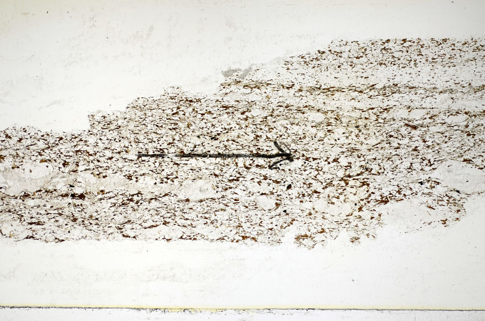 Plane Polarized, S84951