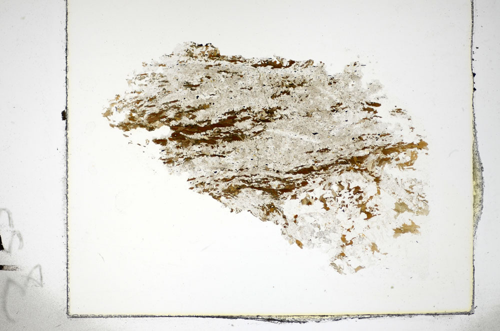 Plane Polarized, S84955