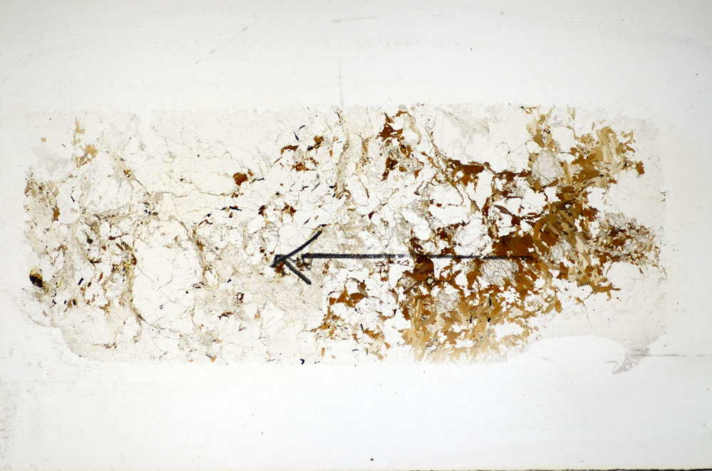 Plane Polarized, S84961