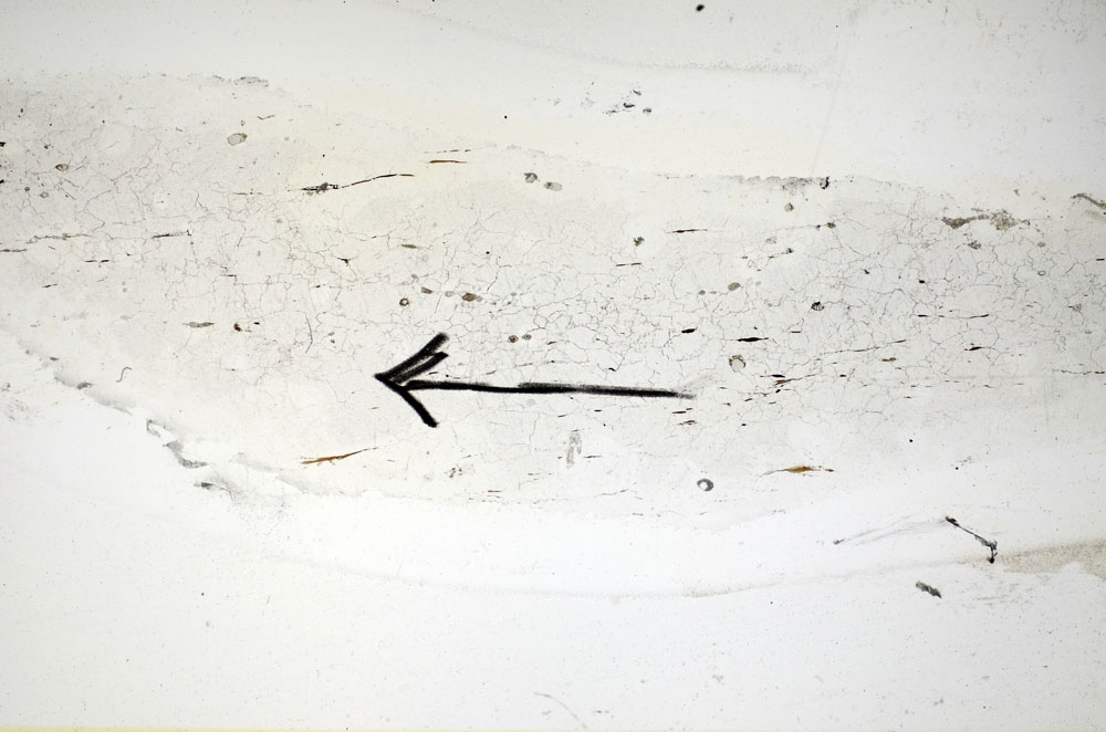 Plane Polarized, S84963