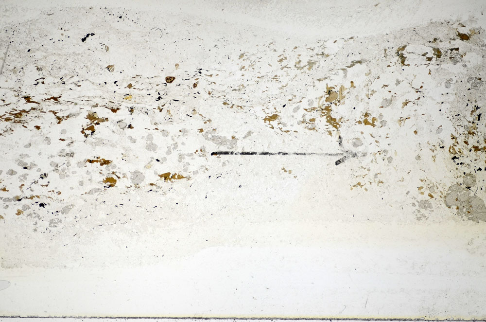 Plane Polarized, S84964
