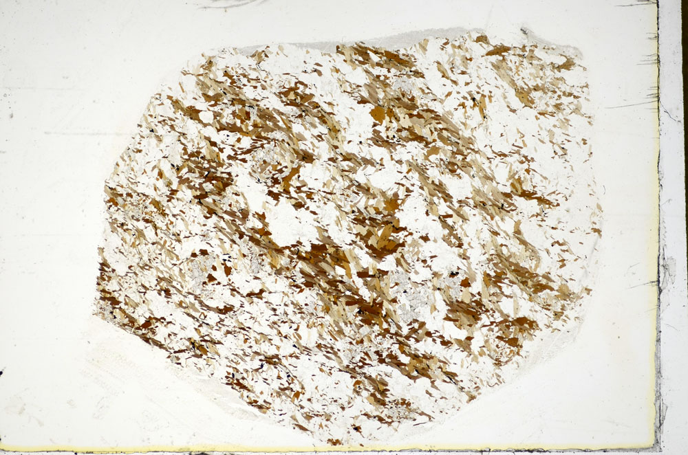 Plane Polarized, S84967