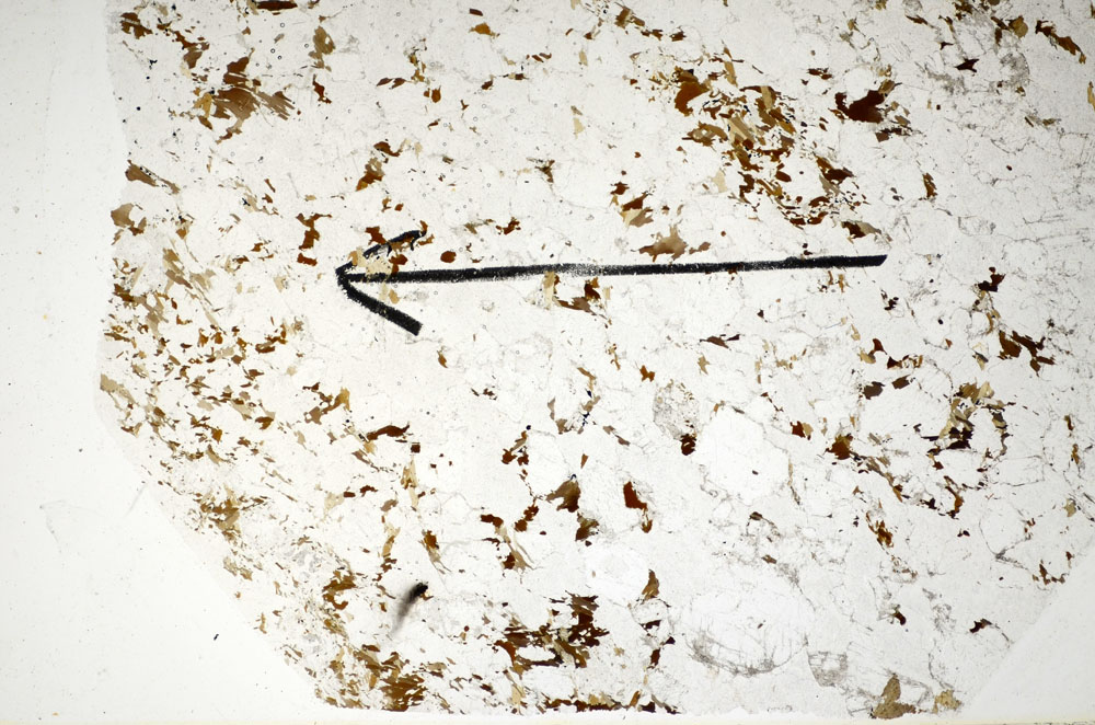 Plane Polarized, S84968