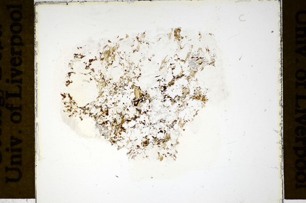 Plane Polarized, S84969/A