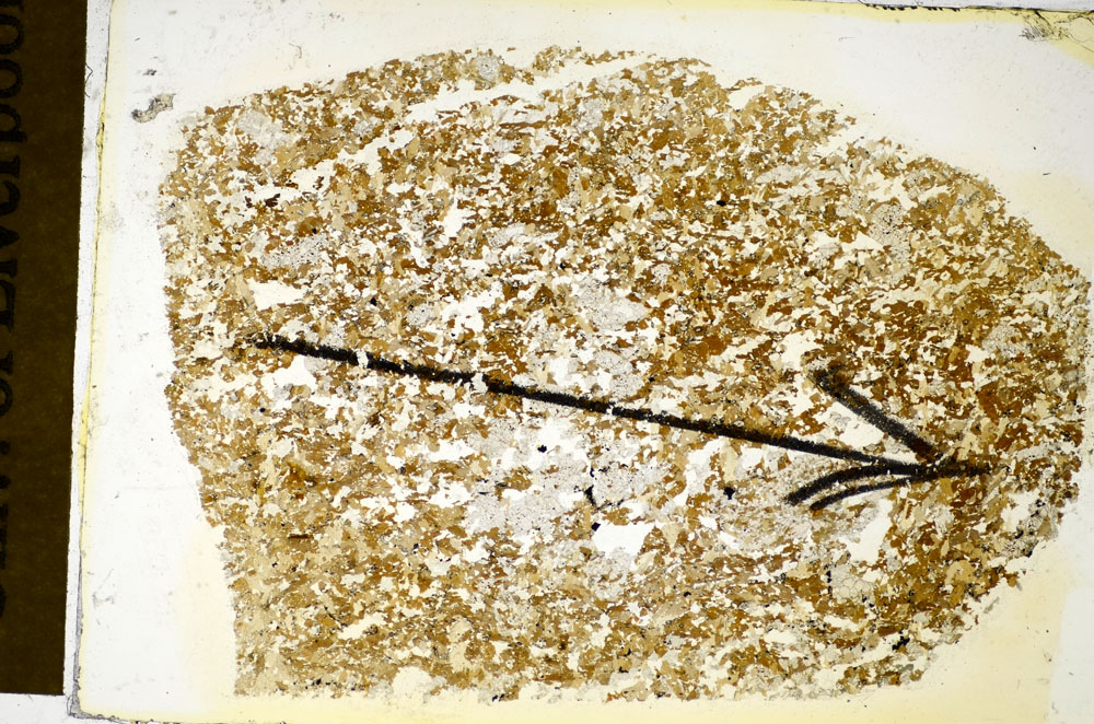 Plane Polarized, S84970