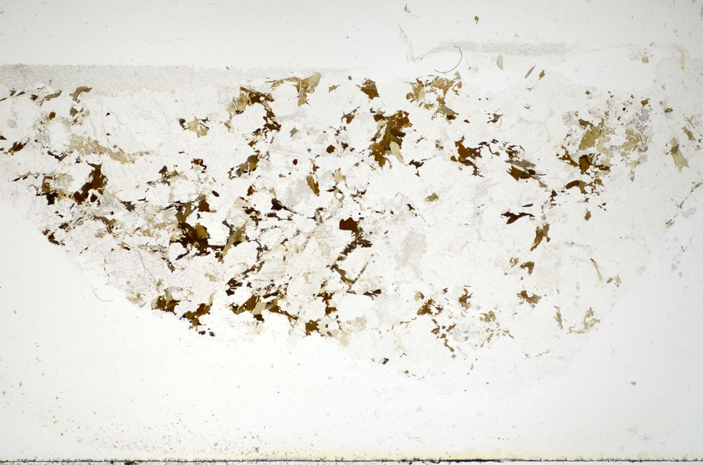 Plane Polarized, S84971