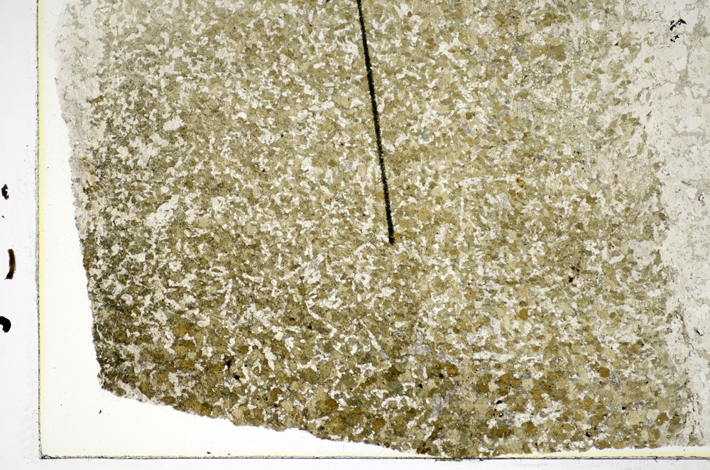Plane Polarized, S84972