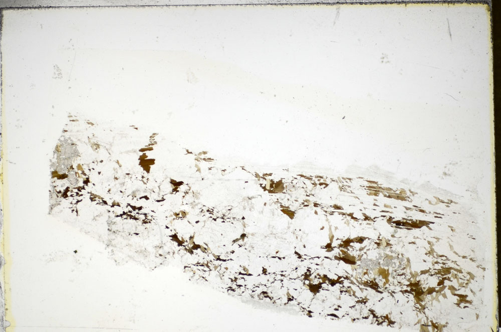 Plane Polarized, S84978
