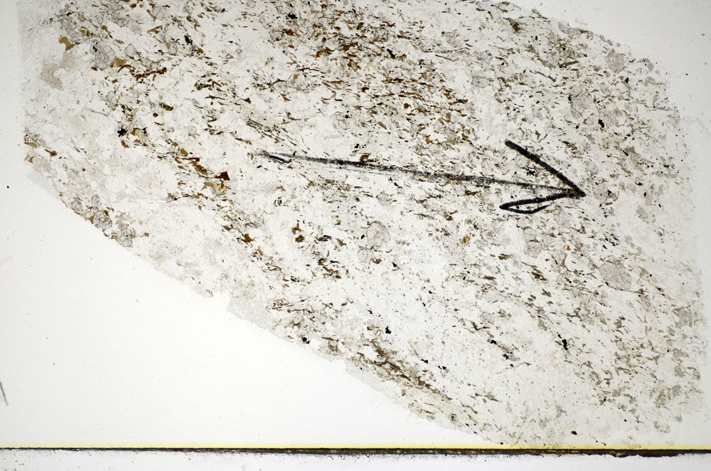 Plane Polarized, S84980