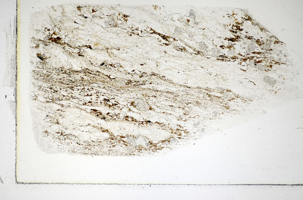 Plane Polarized, S84981