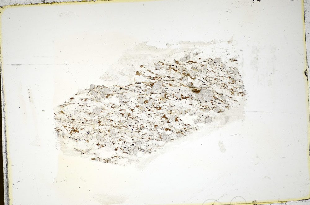 Plane Polarized, S84988