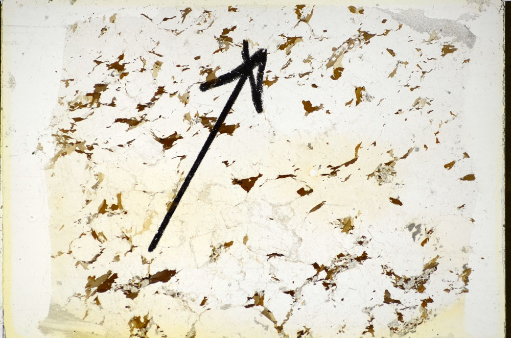 Plane Polarized, S84989
