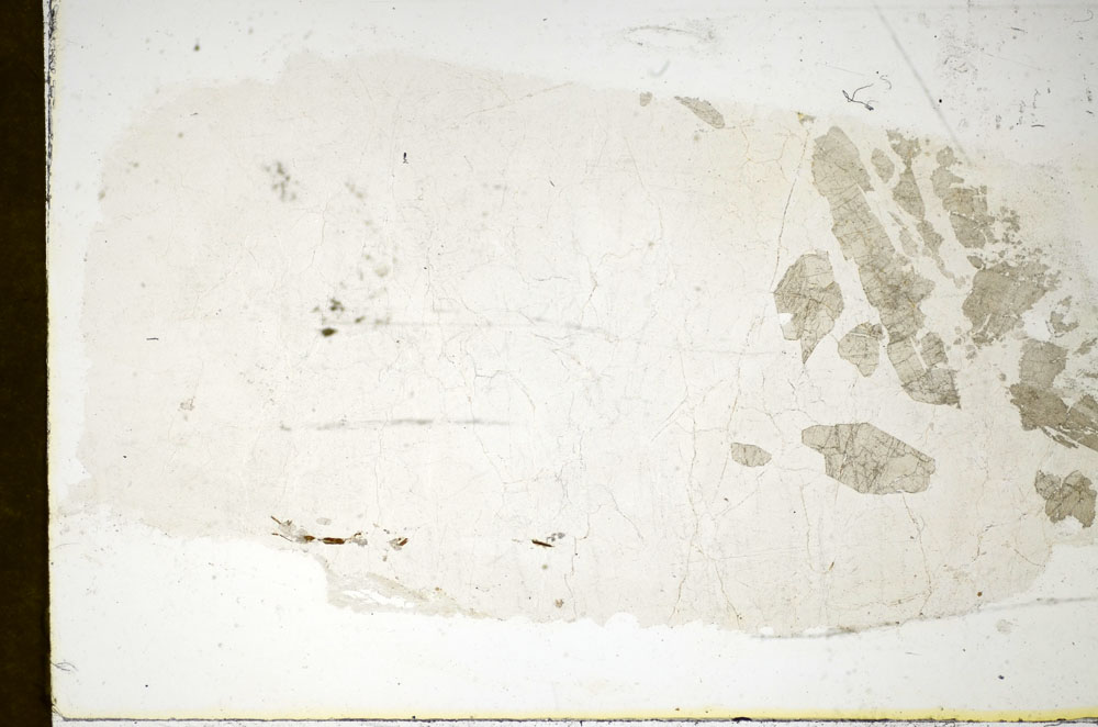 Plane Polarized, S84993