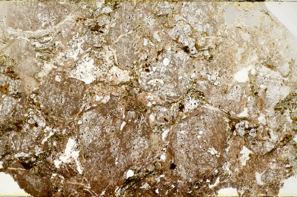 Plane Polarized, S84997