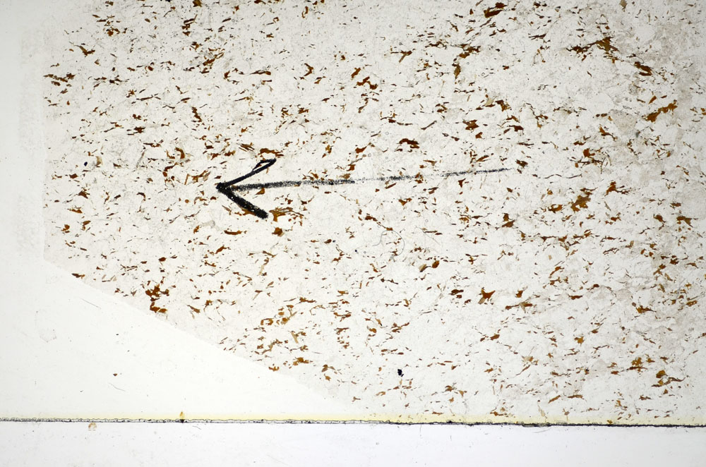 Plane Polarized, S85002
