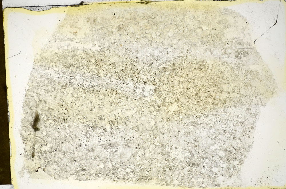 Plane Polarized, S85010