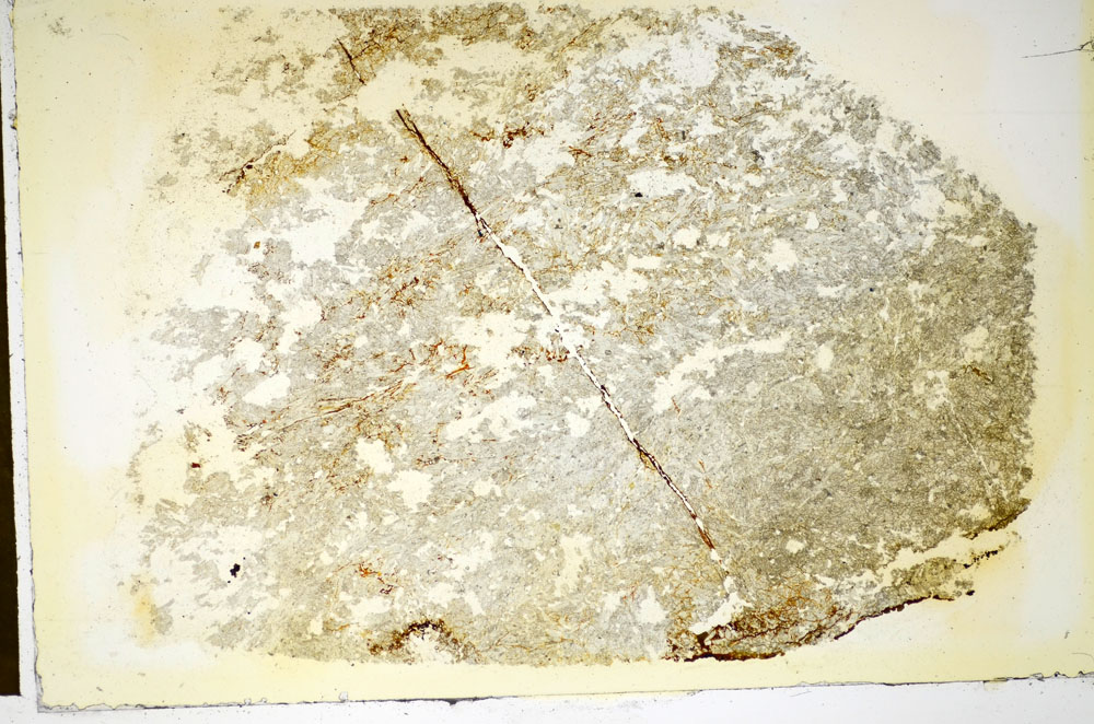 Plane Polarized, S85011