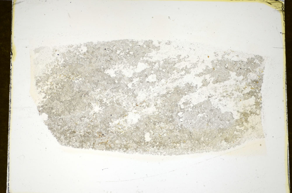 Plane Polarized, S85013