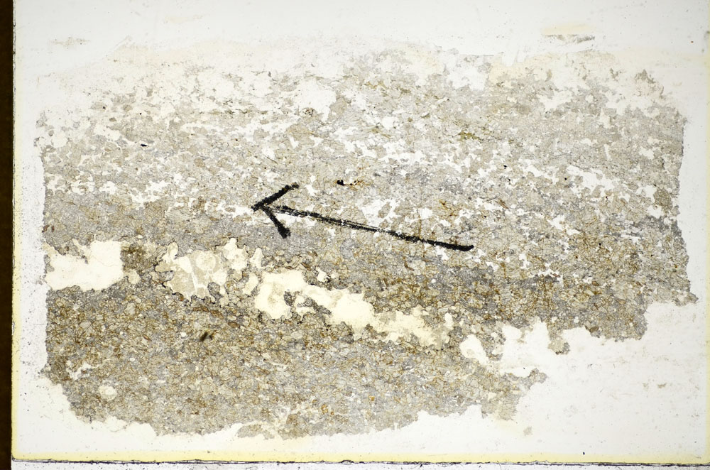 Plane Polarized, S85024