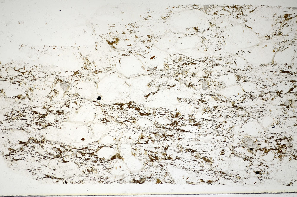 Plane Polarized, S85041