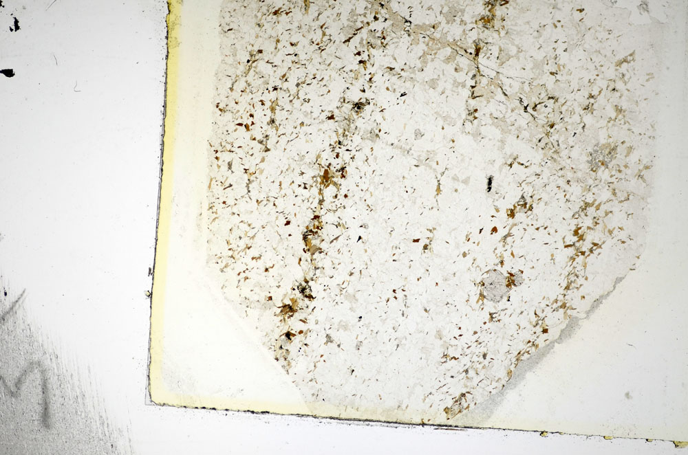 Plane Polarized, S85057