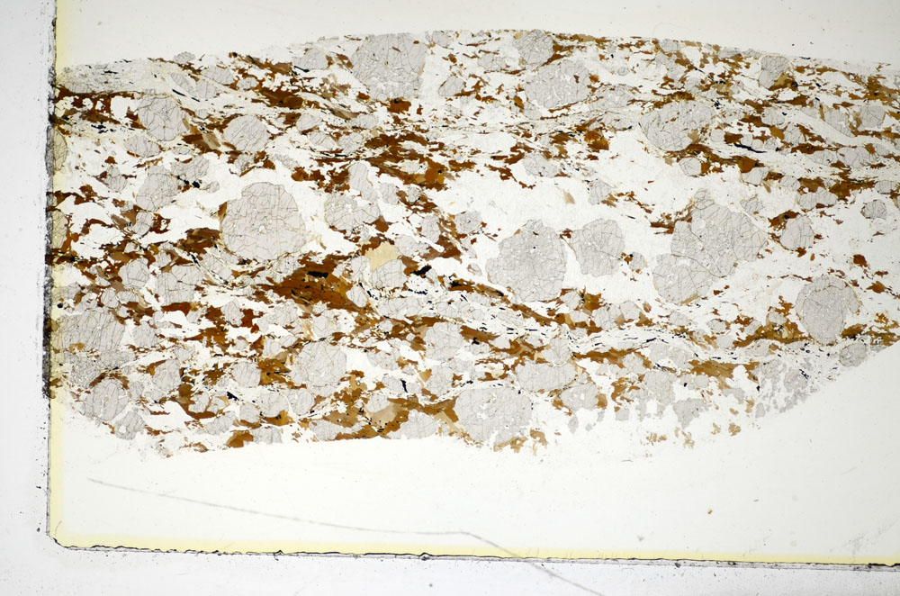 Plane Polarized, S85058
