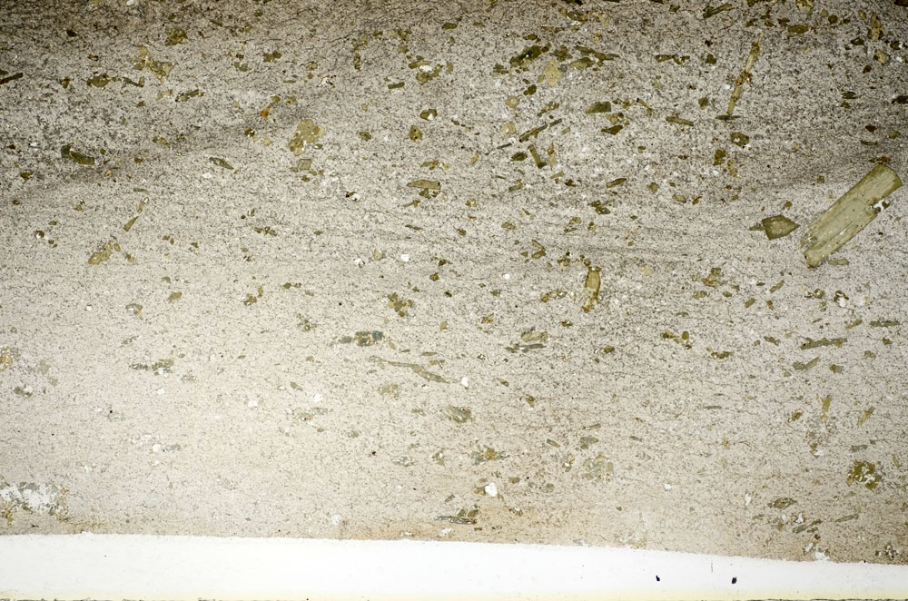 Plane Polarized, S85059