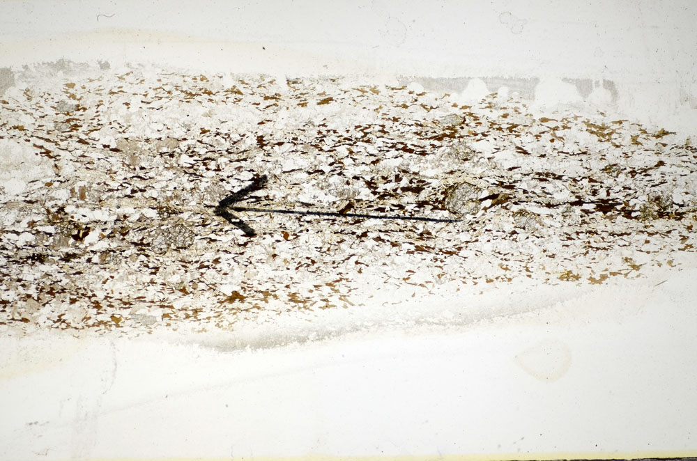 Plane Polarized, S85064