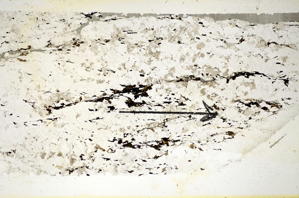 Plane Polarized, S85068