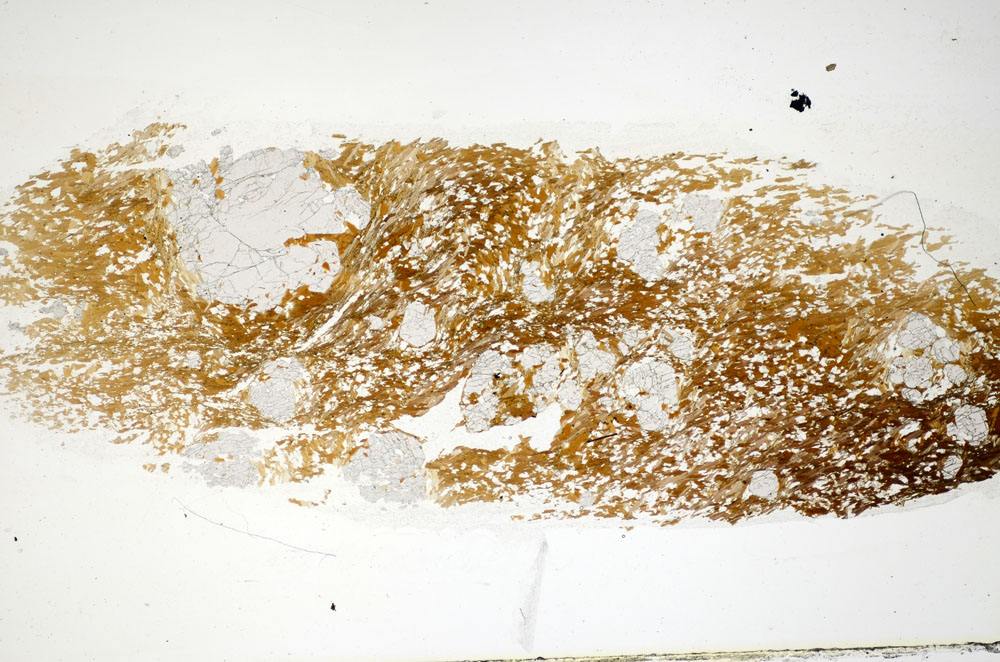 Plane Polarized, S85075
