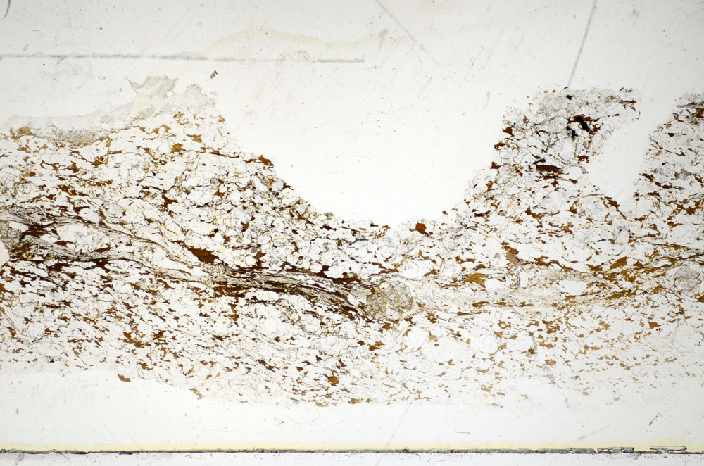 Plane Polarized, S85079