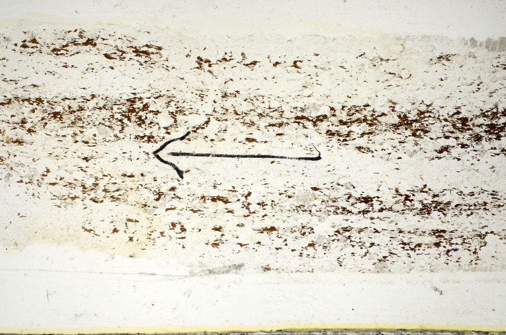 Plane Polarized, S85095