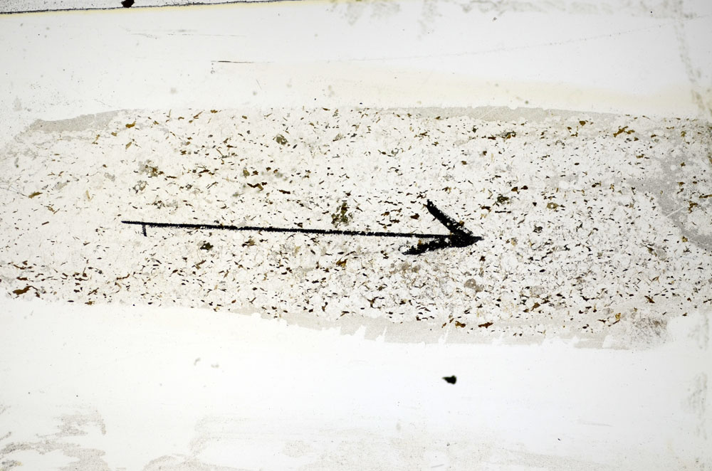 Plane Polarized, S85102