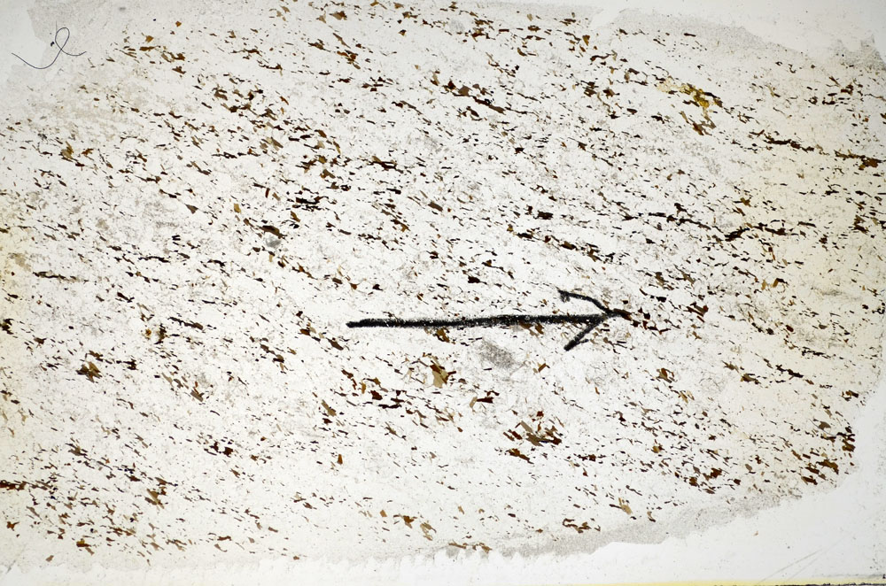 Plane Polarized, S85105