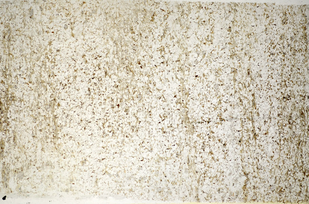 Plane Polarized, S85111
