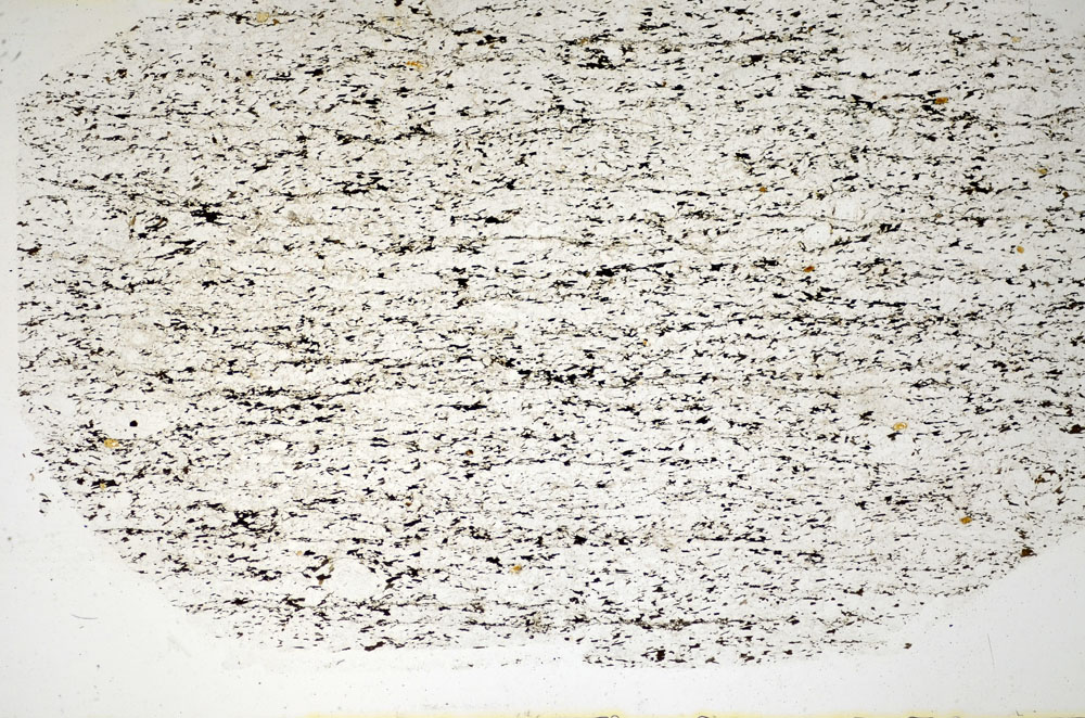 Plane Polarized, S85114