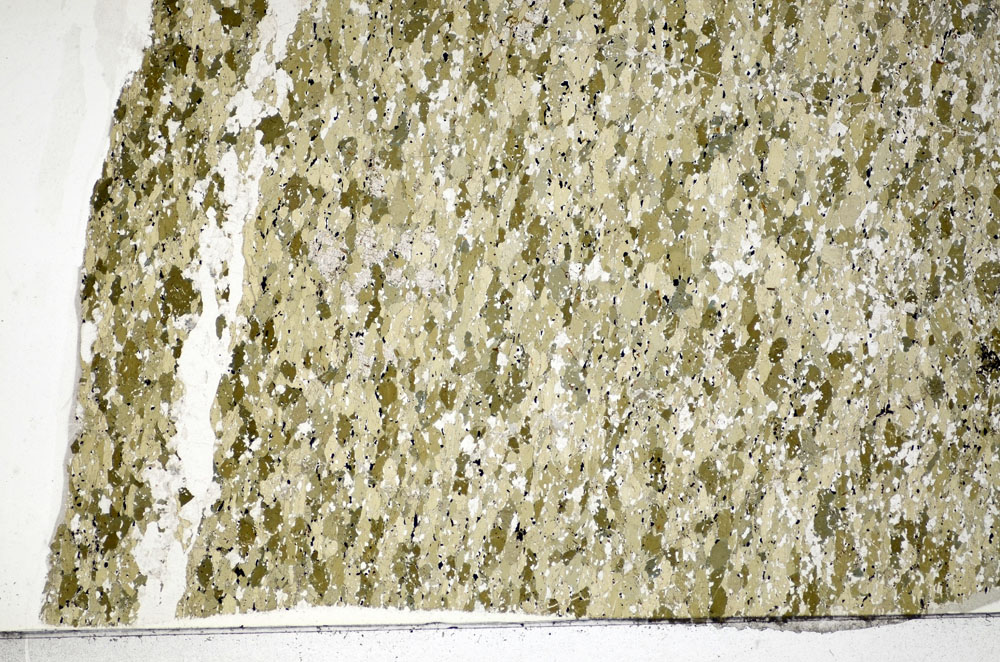 Plane Polarized, S85116