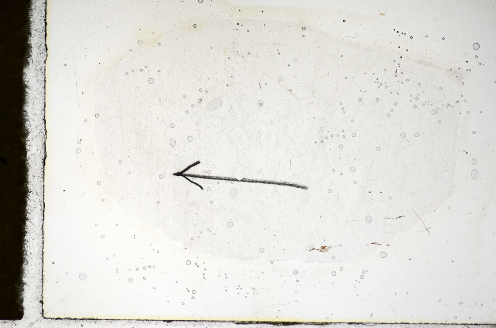 Plane Polarized, S85122