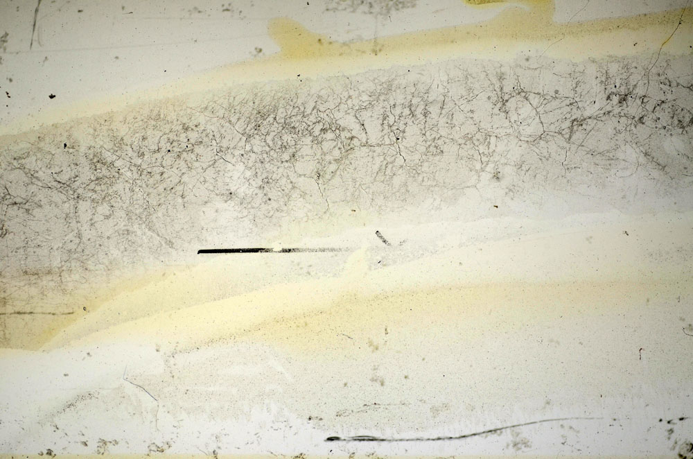 Plane Polarized, S85125