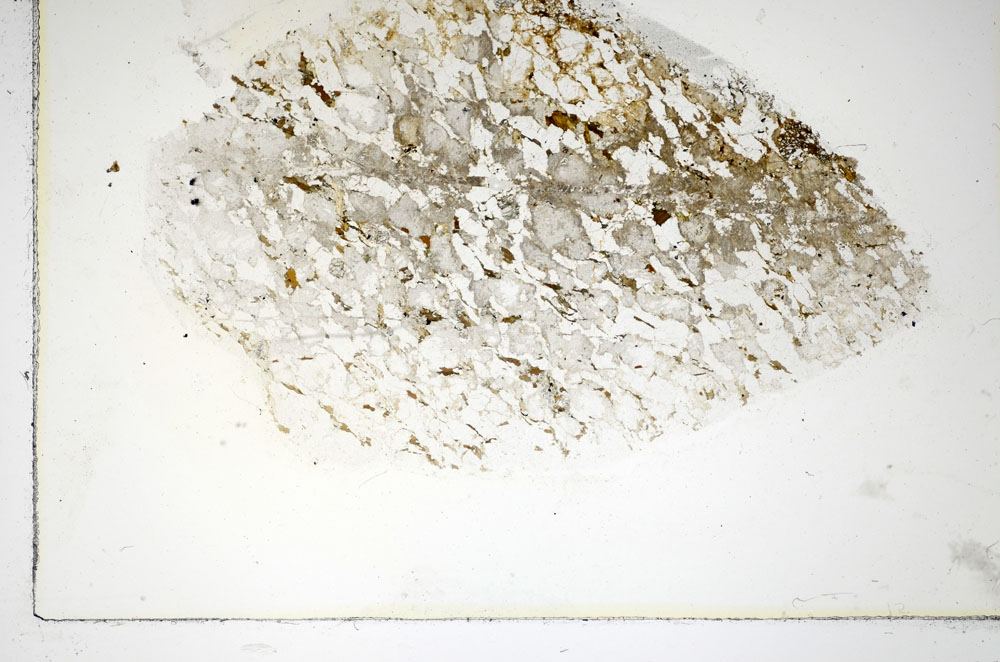 Plane Polarized, S85157