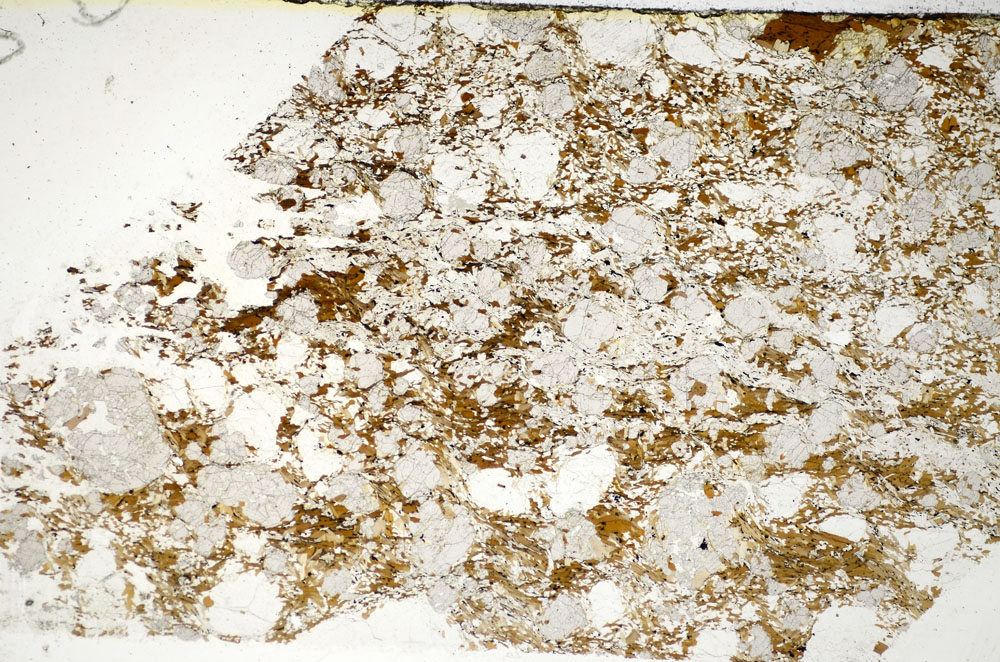 Plane Polarized, S85160