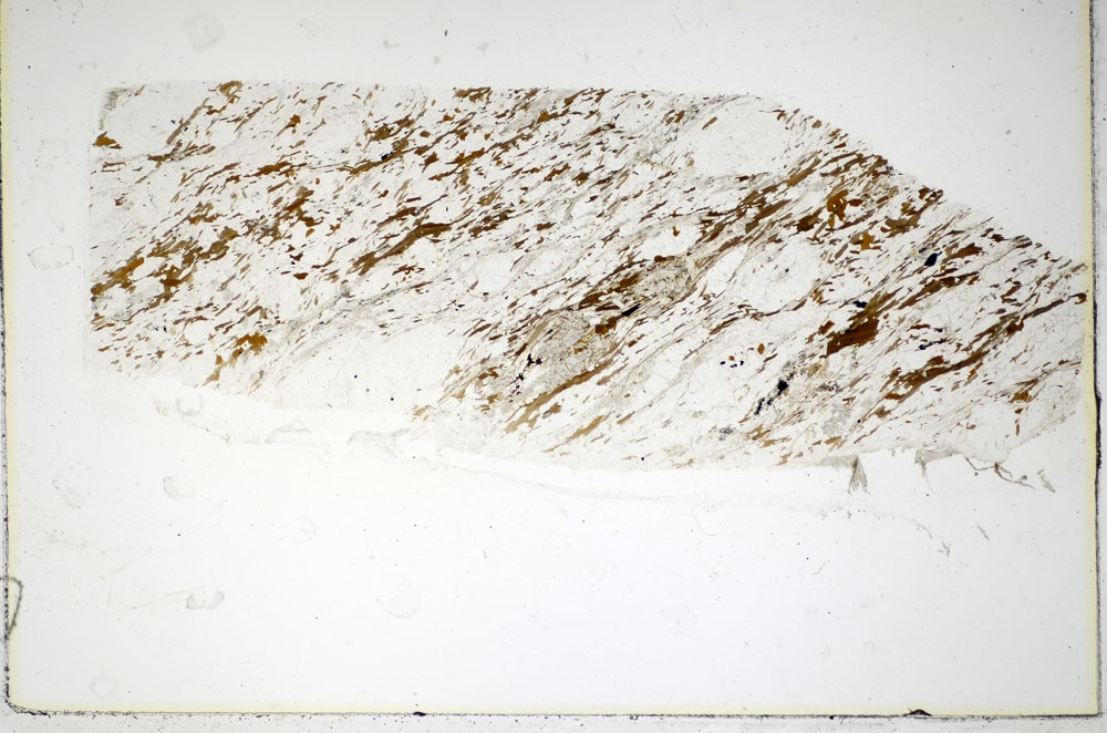Plane Polarized, S85163