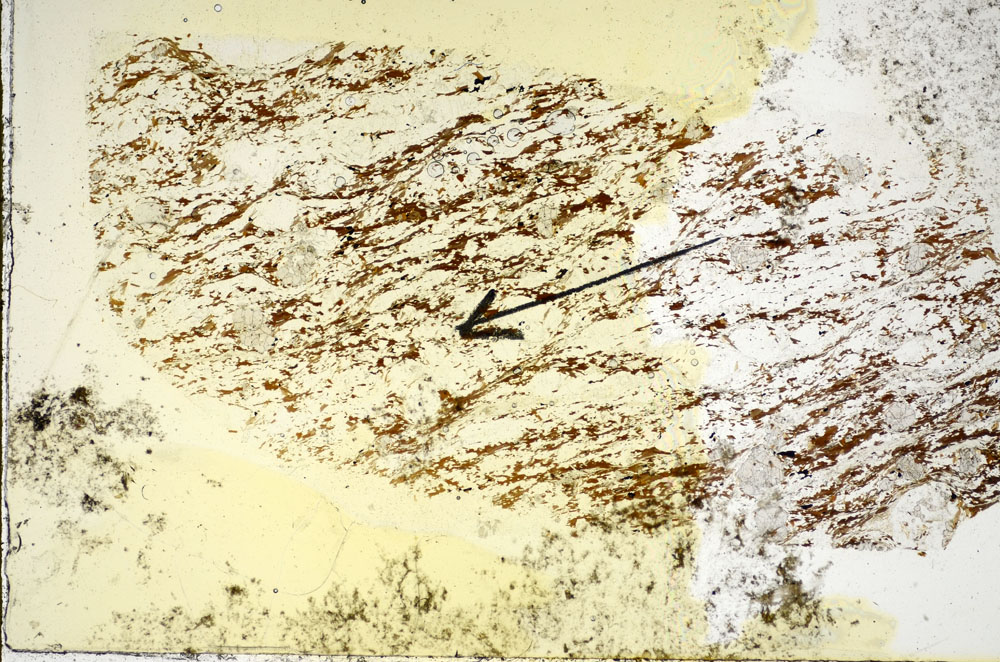 Plane Polarized, S85169