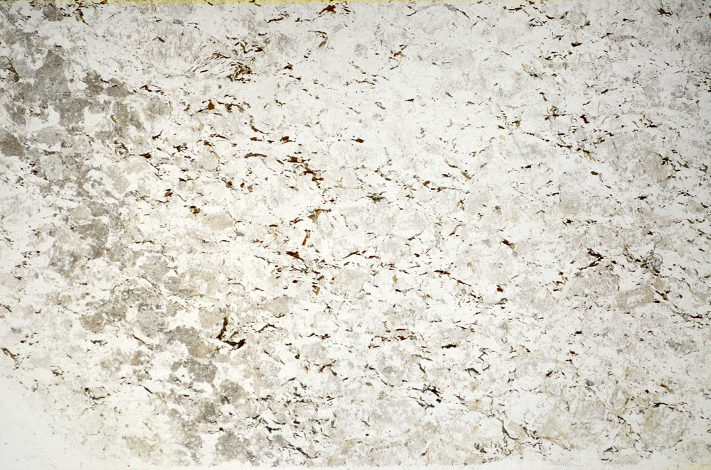 Plane Polarized, S85173