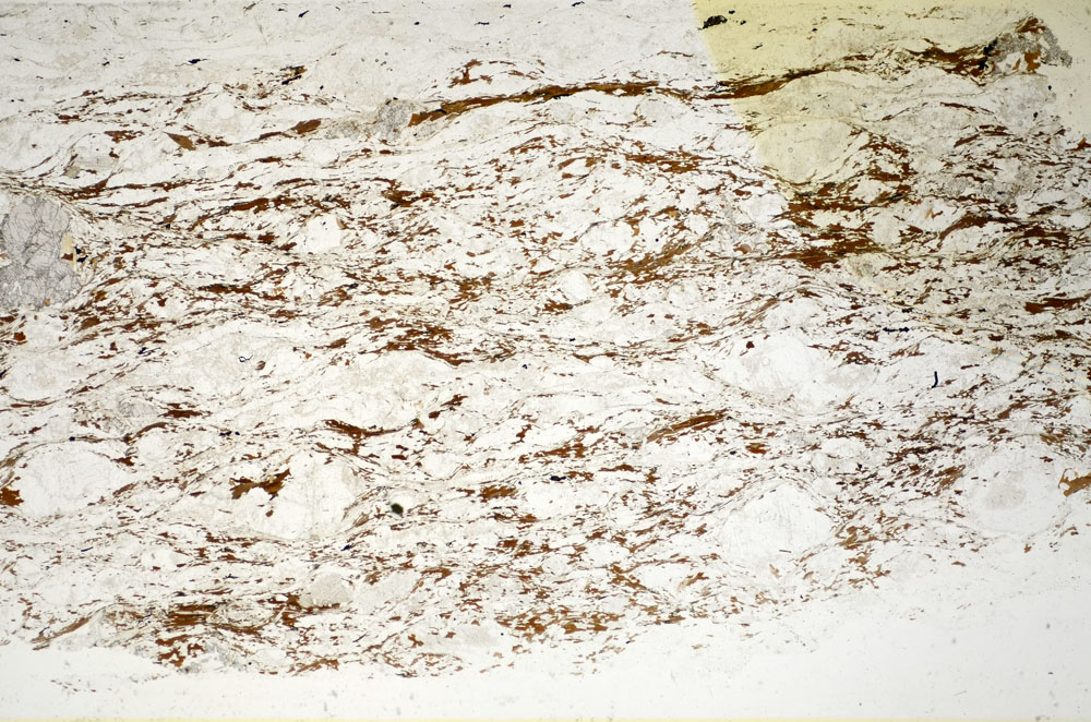 Plane Polarized, S85175
