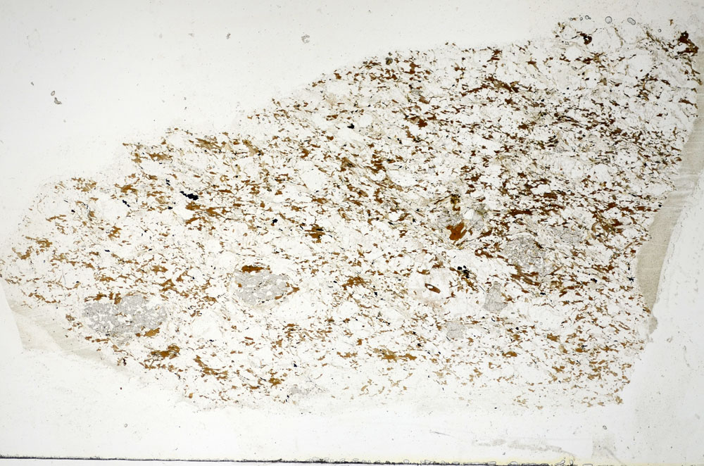 Plane Polarized, S85176