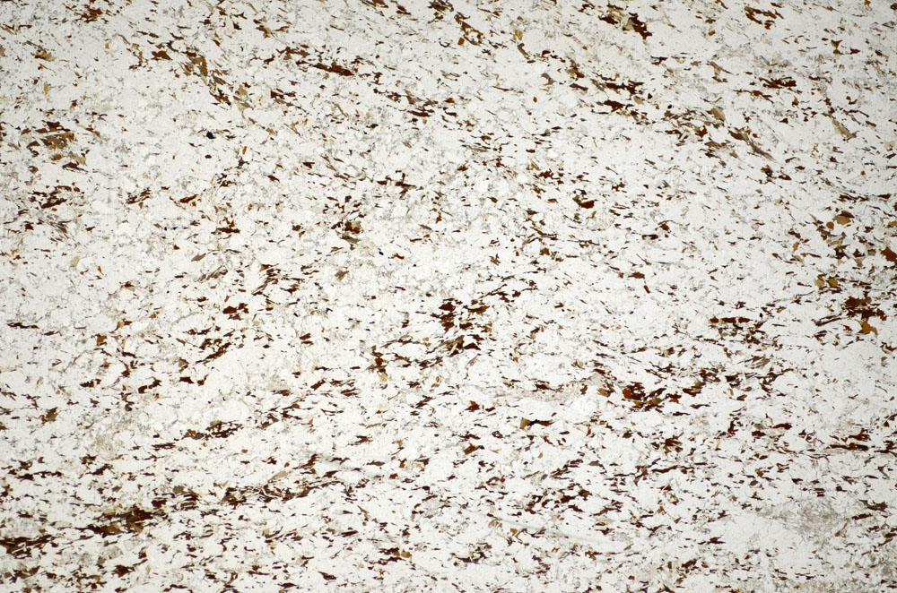 Plane Polarized, S85190
