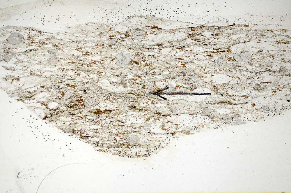 Plane Polarized, S85192