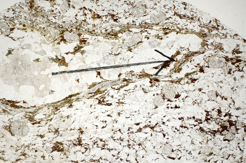 Plane Polarized, S85193