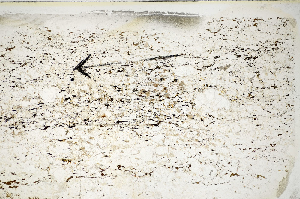 Plane Polarized, S85195